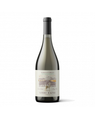 White wines  Trebbiano d'Abruzzo DOC Senza solfiti aggiunti 2023 - Torre Raone 15,12 €