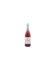 Rosé-Weine  Pittilò - Cerasuolo d'Abruzzo DOP 2020 - Terre del Tosone 6,85 €