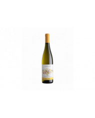 White wines  Tinchitè Bianco Sicilia DOC 2023 - Feudo Arancio 9,16 â‚¬ White wines  Tinchitè Bianco Sicilia DOC 2023 - Feudo Arancio 9,16 â‚¬