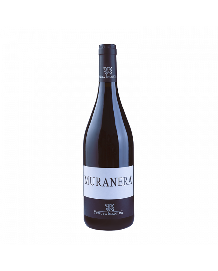 Red Wines  Muranera Rosso Calabria IGT 2023 - Tenuta Iuzzolini 17,95 â‚¬ Red Wines  Muranera Rosso Calabria IGT 2023 - Tenuta Iuzzolini 17,95 â‚¬