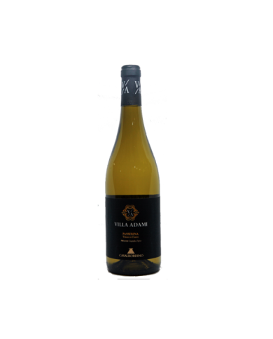 White wines  Villa Adami Passerina Terre di Chieti IGT 2022 - Casalbordino 5,66 € White wines  Villa Adami Passerina Terre di Chieti IGT 2022 - Casalbordino 5,66 €