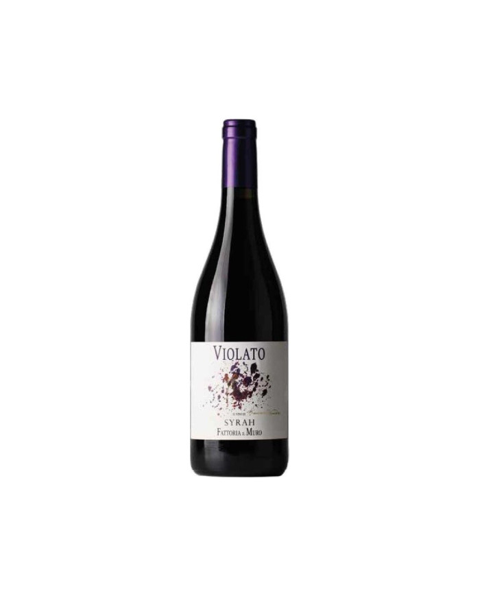 Vini Rossi  Violato Syrah Toscana IGT 2021 - Fattoria Il Muro 12,68&nbsp;€