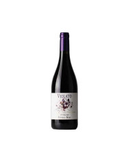 Vini Rossi  Violato Syrah Toscana IGT 2021 - Fattoria Il Muro 12,68&nbsp;€