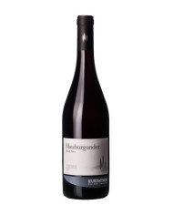 Vini Rossi  Pinot Nero Blauburgunder DOC Alto Adige 2023 – Kellerei Kurtatsch 15,56 €