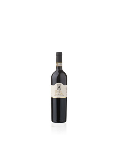 Vini Rossi  Sagrantino di Montefalco Docg Bio 2019 - Moretti Omero 24,50 € Vini Rossi  Sagrantino di Montefalco Docg Bio 2019 - Moretti Omero 24,50 €