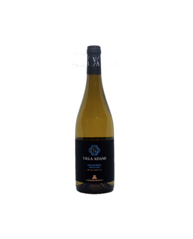 White wines  Villa Adami Falanghina 2020 - Casalbordino 5,66 € White wines  Villa Adami Falanghina 2020 - Casalbordino 5,66 €