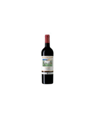 Red Wines  Toscana IGT merlot Desiderio 2000 – Avignonesi 141,00 â‚¬ Red Wines  Toscana IGT merlot Desiderio 2000 – Avignonesi 141,00 â‚¬