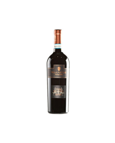 Rode wijnen  Vigna Camarato Falerno del Massico DOC 1999 - Villa Matilde 51,64 €