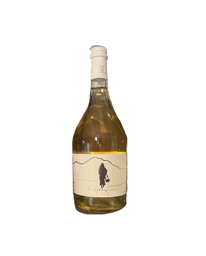 White wines  La Pellegrina Bianco 2023 - Tenuta De Melis 8,20 €