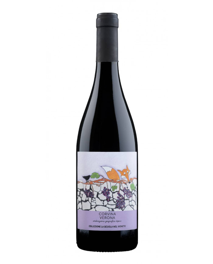 Vini Rossi  Scuola nel Vigneto Corvina 2023 - Domini Veneti 8,79 € Vini Rossi  Scuola nel Vigneto Corvina 2023 - Domini Veneti 8,79 €