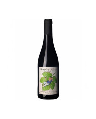 Red Wines  Beaujolais Nouveau Novello 2024 - Château Cambon 18,15&nbsp;€