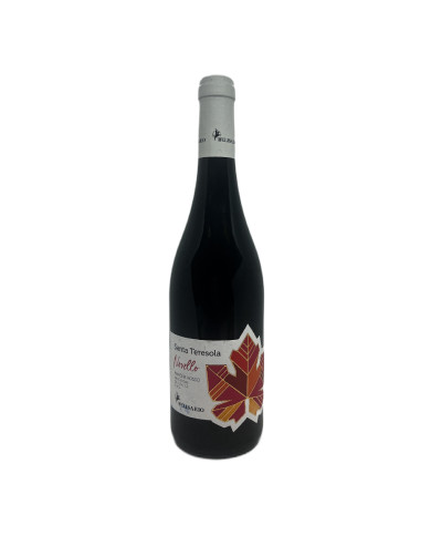 Rode wijnen  Santa Teresola Novello Marche Rosso IGT 2024 - Cantine Belisario 6,15 €