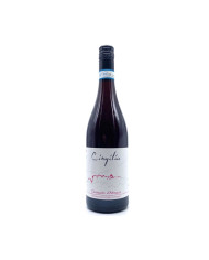Vini Rosè  Cerasuolo D’Abruzzo DOC 2024 - Cingilia 10,26 â‚¬ Vini Rosè  Cerasuolo D’Abruzzo DOC 2024 - Cingilia 10,26 â‚¬