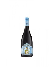 Vini Rossi  Cuntamè Negroamaro Salento IGP Rosso Riserva - Cantine Due Palme 19,50 â‚¬ Vini Rossi  Cuntamè Negroamaro Salento IGP Rosso Riserva - Cantine Due Palme 19,50 â‚¬