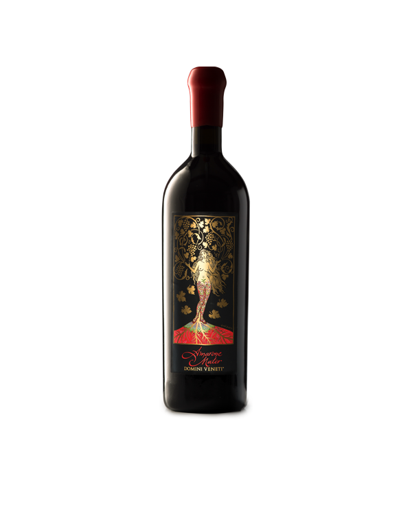 Vini Rossi Mater Amarone Della Valpolicella Docg Classico Riserva 2017 - Domini Veneti 90,48 € Vini Rossi Mater Amarone Della Valpolicella Docg Classico Riserva 2017 - Domini Veneti 90,48 €