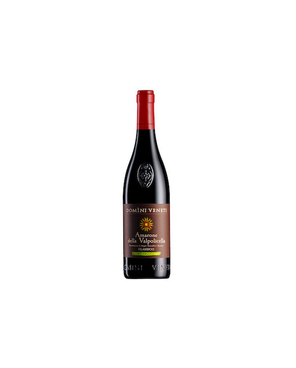 Vini Rossi  Amarone Della Valpolicella Docg Classico Bio 2019 - Domini Veneti 30,68 â‚¬ Vini Rossi  Amarone Della Valpolicella Docg Classico Bio 2019 - Domini Veneti 30,68 â‚¬