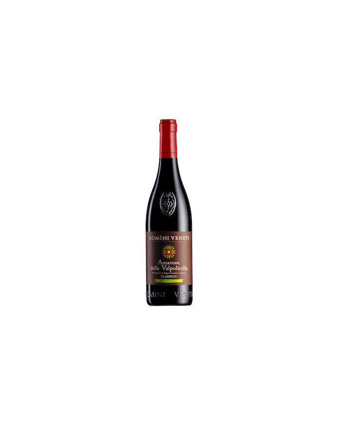 Red Wines  Amarone Della Valpolicella Docg Classico Bio 2019 - Domini Veneti 30,68 €