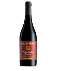 Vini Rossi  Valpolicella Ripasso Doc Classico Superiore Bio 2019 - Domini Veneti 12,74&nbsp;€