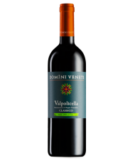 Vini Rossi  Valpolicella Doc Classico Bio 2021 - Domini Veneti 8,58&nbsp;€