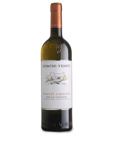 Witte Wijnen  Pinot Grigio Delle Venezie Doc 2023 - Domini Veneti 6,50 € Witte Wijnen  Pinot Grigio Delle Venezie Doc 2023 - Domini Veneti 6,50 €