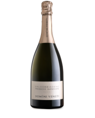 Witte Wijnen  Prosecco Superiore Docg Valdobbiadene - Domini Veneti 12,61 €