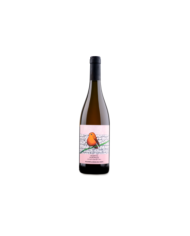 Rosé-Weine  Collezione La Scuola nel Vigneto Rosato Veronese Igt 2023 - Domini Veneti 6,18 â‚¬ Rosé-Weine  Collezione La Scuola nel Vigneto Rosato Veronese Igt 2023 - Domini Veneti 6,18 â‚¬