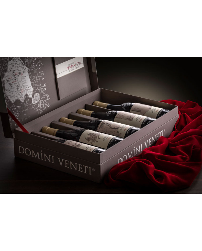 Idee Regalo  Cofanetto Amarone Espressioni 2016 ( 5 bottiglie ) - Domini Veneti 271,70 €