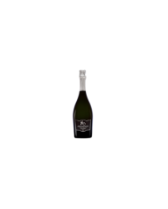 Witte Wijnen  Armannia Spumante Extra Dry Pecorino - Cantine De Luca 9,52 €