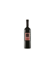 Red Wines  Terragnolo Primitivo Salento IGP 2021 - Apollonio 16,94 €