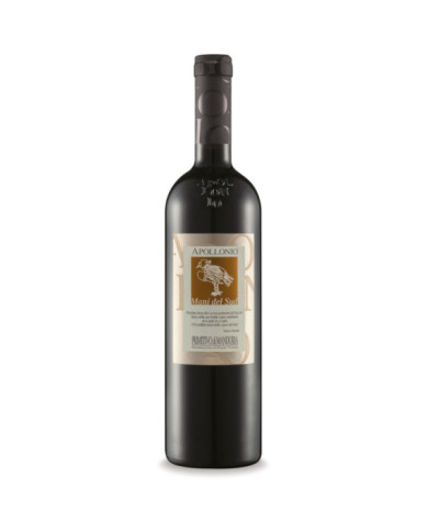 Rode wijnen  Mani del Sud Primitivo di Manduria DOP 2019 - Apollonio 12,46 € Rode wijnen  Mani del Sud Primitivo di Manduria DOP 2019 - Apollonio 12,46 €