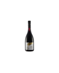 Red Wines  Il 150 Negroamaro Salento IGP 2023 - Apollonio 9,10 €