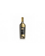 Vini Bianchi  Ansonica Maremma Toscana DOC 2023 - Cantina Vignaioli del Morellino di Scansano 10,26&nbsp;€