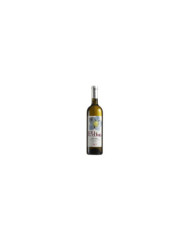 White wines  Elleboro Bolgheri Bianco Doc 2023 - Podere Conca 14,85 â‚¬ White wines  Elleboro Bolgheri Bianco Doc 2023 - Podere Conca 14,85 â‚¬