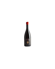 Red Wines  In Amphora Rosso Etna DOC Contrada Rampante 2022 - Wiegner 53,28 €