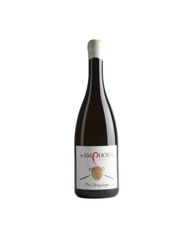 Witte Wijnen In Amphora Bianco Etna DOC Contrada Rampante 2023 - Wiegner 53,28 € Witte Wijnen In Amphora Bianco Etna DOC Contrada Rampante 2023 - Wiegner 53,28 €