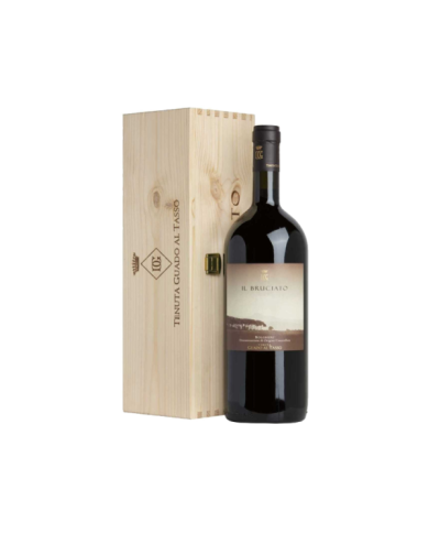 Red Wines  Bolgheri Rosso Il Bruciato Magnum Guado al Tasso 2023 - Antinori 53,17 € Red Wines  Bolgheri Rosso Il Bruciato Magnum Guado al Tasso 2023 - Antinori 53,17 €