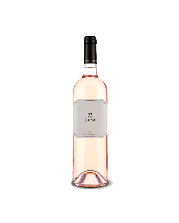 Rosé Wines  Per una Rosa Tintilia del Molise DOC 2023 Rosato - Campi Valerio 8,78 â‚¬ Rosé Wines  Per una Rosa Tintilia del Molise DOC 2023 Rosato - Campi Valerio 8,78 â‚¬