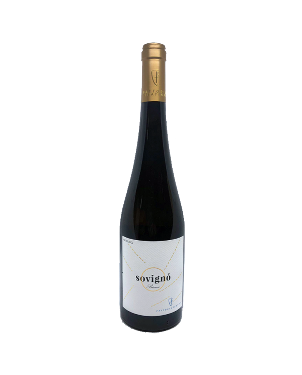Witte Wijnen  Sovignò Bianco Sauvignon Blanc bio 2021 - Fattoria Teatina 9,59 â‚¬ Witte Wijnen  Sovignò Bianco Sauvignon Blanc bio 2021 - Fattoria Teatina 9,59 â‚¬