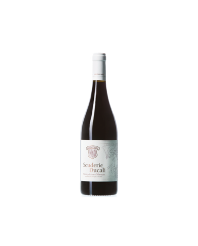Red Wines  Scuderie Ducali Montepulciano D'Abruzzo DOC 2019 - Centorame 6,86 € Red Wines  Scuderie Ducali Montepulciano D'Abruzzo DOC 2019 - Centorame 6,86 €