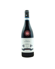 Rode wijnen  Montepulciano D'Abruzzo DOC 2021 - Palazzo Battaglini 7,75&nbsp;€