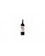 Red Wines  Virtus Langhe magnum 2012 - MARCHESI DI GRESY 24,44 €