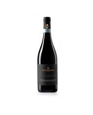 Rode wijnen  La Filomena Montepulciano d’Abruzzo DOC 2022 - Donvitantonio Vini 10,66 â‚¬ Rode wijnen  La Filomena Montepulciano d’Abruzzo DOC 2022 - Donvitantonio Vini 10,66 â‚¬