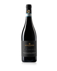 Rode wijnen  La Filomena Montepulciano d’Abruzzo DOC 2022 - Donvitantonio Vini 10,66 â‚¬ Rode wijnen  La Filomena Montepulciano d’Abruzzo DOC 2022 - Donvitantonio Vini 10,66 â‚¬