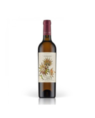 White wines  Passito di Sicilia Terre Siciliane IGP 2020 - 50cl - Colosi 13,96 â‚¬ White wines  Passito di Sicilia Terre Siciliane IGP 2020 - 50cl - Colosi 13,96 â‚¬