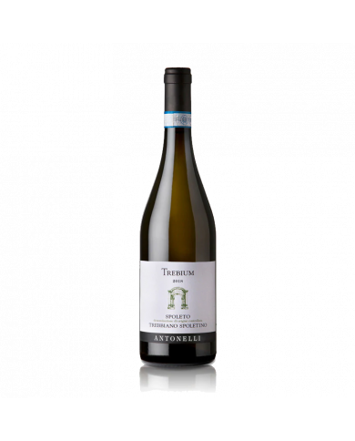 Witte Wijnen  Trebium Trebbiano Spoletino Spoleto DOC 2024 Bio Magnum- Antonelli San Marco 25,00 â‚¬ Witte Wijnen  Trebium Trebbiano Spoletino Spoleto DOC 2024 Bio Magnum- Antonelli San Marco 25,00 â‚¬