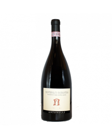 Rode wijnen  Montefalco Sagrantino DOCG 2020 Magnum Bio - Antonelli San Marco 44,55 â‚¬ Rode wijnen  Montefalco Sagrantino DOCG 2020 Magnum Bio - Antonelli San Marco 44,55 â‚¬
