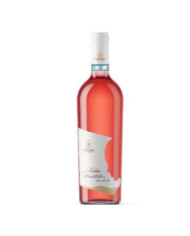 Rosé-Weine  Mila Cerasuolo d’Abruzzo DOP 2024 - Cantina Colle Moro 6,23 € Rosé-Weine  Mila Cerasuolo d’Abruzzo DOP 2024 - Cantina Colle Moro 6,23 €