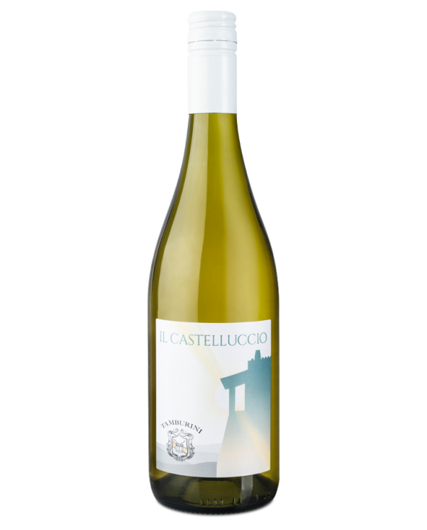 Witte Wijnen  IL CASTELLUCCIO I.G.T. 2023 Toscana Bianco - Tamburini 15,40 â‚¬ Witte Wijnen  IL CASTELLUCCIO I.G.T. 2023 Toscana Bianco - Tamburini 15,40 â‚¬