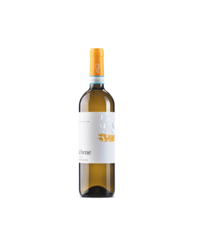 White wines  FA’ BENE Malvasia Abruzzo DOC BIO 2023 - Fattoria Teatina 5,90 € White wines  FA’ BENE Malvasia Abruzzo DOC BIO 2023 - Fattoria Teatina 5,90 €