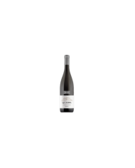 Vini Bianchi  La Casina Bianco Garda Colli Mantovani DOC 2023 - Cantina Ricchi 7,70 €